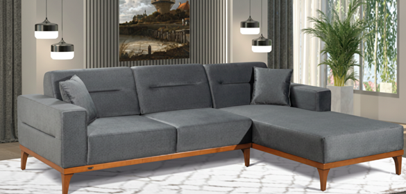 Minimalist Sofa Sets